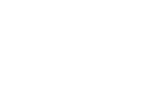 Blic